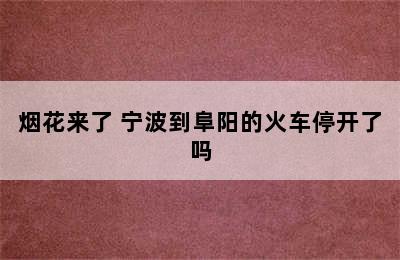 烟花来了 宁波到阜阳的火车停开了吗